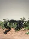 Dragon articulé_Noir.webp